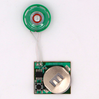 Mini-enregistreur vocal de haute qualité, Module sonore enregistrable activé par la lumière pour cartes de vœux