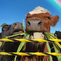 Australische boerderij-elektrische afrasteringsdraad met verzinkt koper voor betrouwbare prestaties over lange afstanden