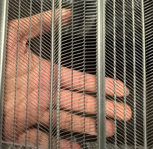 Fabricante de listones de acero corrugado hechos de bobinas de chapa de acero cortada y expandida en un patrón de espina de pescado <span class=keywords><strong>con</strong></span> nervaduras metálicas - Product Image 4