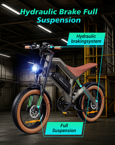 GYebike GYD2020 Dirt Bike With <b>Battery</b> 48v 750w 20nch and Front Fork With Front and Rear Disc - Product Image 5
