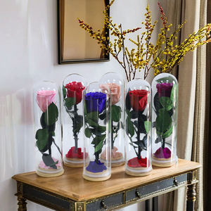 Rosa Preservada en Campana de Cristal, Flor Eterna Entera con Base de Madera, Regalo Romántico <span class=keywords><strong>para</strong></span> Ella, Día de San Valentín, Propuesta de Matrimonio - Product Image 3