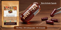 Capsules d'extrait de Cistanche Tubulosa 70% Phytoglycosides 25% Échinacoside 10% Acteoside Complément Alimentaire pour l'Activation Osseuse et le Renforcement Articulaire OEM