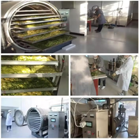 200Kg 300Kg Medium Vacuüm Snoepvlees Voedsel Vriesdroogmachines Gevriesdroogde Groente Fruit Vriesdroger Lyofilisator Machine.