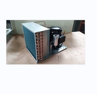 Unité de condensation de compresseur de réfrigération R134a ou R404a pour petit réfrigérateur Pièce essentielle pour une réfrigération efficace