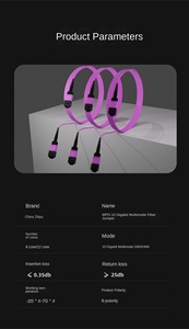 <span class=keywords><strong>MPO</strong></span>-<span class=keywords><strong>MPO</strong></span> 40g 100g đa sợi Jumper cáp 10 Gigabit 8 lõi 12 lõi bó cho trung tâm dữ liệu IDC IP Mạng sợi cáp quang - Product Image 6