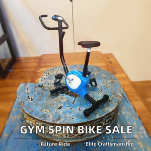 Magnétique professionnel de vente directe d'usine pour le vélo commercial de vélo de rotation pour le matériel en métal d'exercice de gymnase - Product Image 2