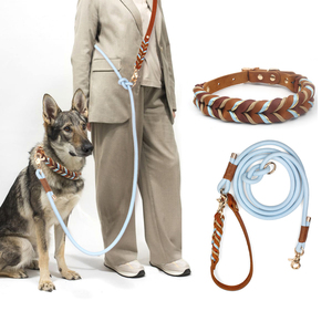 Direkt vom Hersteller Luxuriöses Personalisiertes Leder-Hundehalsband Verstellbare Schnalle Handgeflochtene Gestreifte BÄNDER für Kleine/Mittelgroße/Große Hunde - Product Image 3