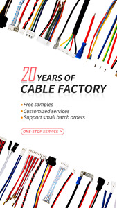 JAE FI-S20S ke DF13-40DS dengan ZCAT2035-0930 Ferrite LVDS kabel perakitan - Product Image 4
