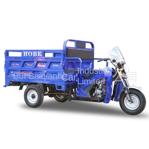 HOBE Moto cargo motorisée à trois roues à carrosserie ouverte <200W Transfrontalier - Product Image 5