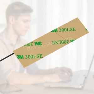 Antenne FPC interne Cowin personnalisée verticale 3dBi 868/915MHz LORA Cellulaire 3G 4G LTE avec connecteur UFL 10W pour routeurs IoT/véhicules - Product Image 4