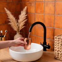 YL-611 robinet de cuisine de haute qualité pour purificateur d'eau, robinet d'évier de système de filtre d'eau potable