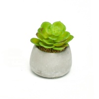 Plante en herbe artificielle en pot, Meilleure vente, Écologique, Moderne, Petite plante en herbe synthétique en pot de ciment