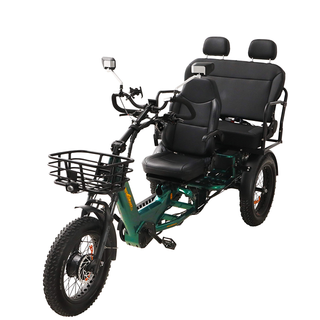 Clearance Adult 1750W 48V 60AH Steel EEC Certified Electric Trike 200KM Long Range Off-Road Three-Wheel Tricycle
