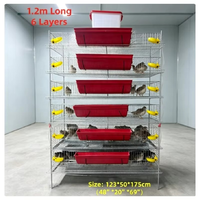 Système de cages modulaires pour cailles avec structure en H pour les installations d'élevage avicole à haute densité