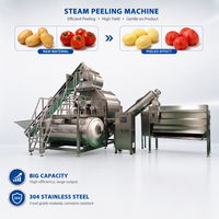 Industriële stoomschiller, stoomschilmachine voor aardappel, cassave, wortel en wortelgewassenverwerkingsbedrijven