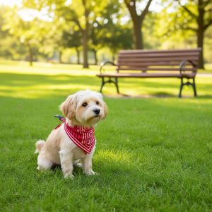 Unbugz-It Bandana Ropa para mascotas Extra grande Azul Cuadrado Modelo D0100XU32L7 - Product Image 2