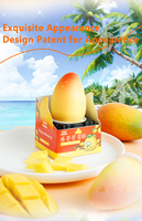 Additifs aromatisants pour crème glacée à la mangue 90g, sachet prêt à consommer avec une durée de conservation de 540 jours, fabriqué à Shanghai