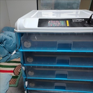 เครื่องฟักไข่ไก่ไข่ห่านอัตโนมัติเครื่องฟักไข่ด้วยอุณหภูมิคงที่ - Product Image 5