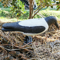 Décoy réaliste floqué et peint en PE, imperméable et écologique, pour le chasse et la lutte antiparasitaire en extérieur (corbeau, pie)