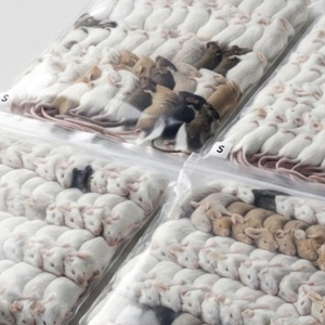 Rata Deshidratada Entera, Estándar de Exportación, para Nutrición de Reptiles y Alimentación de Depredadores - Product Image 1