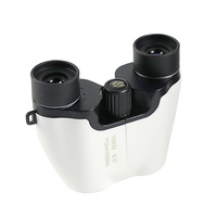 Mini Jumelles Compactes Étanches 10X22 Bak4 Prisme Porro 150g Léger Vision en Faible Lumière Mise au Point Facile Adultes