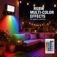 Projecteurs LED RGB blancs à télécommande pour extérieur, IP66, changement de couleur pour jardin, fête, Noël, éclairage multicolore