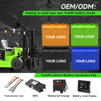 Batteria Personalizzata Lifepo4 80v per Carrelli Elevatori 24V 36V 48V 72V 80V con Capacità 200Ah 400Ah 500Ah 600Ah Batteria agli Ioni di Litio per Carrelli Elevatori
