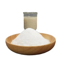 Polyacrylamide Cationique Solide du Groenland (Pureté 100%) Poudre Blanche Floculant Applications Pétrolières Sac de 25 kg Durée de Conservation 36 Mois US