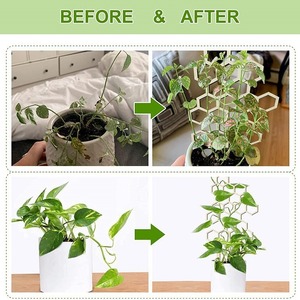 Support de plantes grimpantes en bois alvéolé pour jardin intérieur, support à fleurs ajouré, étagère pour plantes en pot, en stock - Product Image 3
