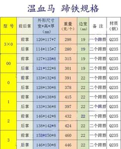 Fers à <span class=keywords><strong>cheval</strong></span> spécialisés importés pour les chevaux <span class=keywords><strong>de</strong></span> <span class=keywords><strong>course</strong></span> - Product Image 2