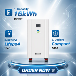 Batterie LiFePO4 murale empilable IP65 CAN 51.2V 314Ah avec logo personnalisé, compatible avec onduleur solaire hybride 48V 16kWh - Vente en gros - Product Image 1