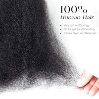 Yanky Twist Crochet Hair Fluffy Spring Mini Twist Passion Twist Brown Pre-Looped Crochet Braids Braiding Hair