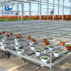 Biaya Rendah Panas Dijual Pertanian Terowongan Greenhouse Seedbed Bench Sistem