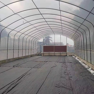 Tùy chỉnh nhựa đường hầm nhà kính giá thấp đường hầm nhà kính chất lượng tốt nhất Nhà Máy Giá nhà kính hiệu quả chi phí cho bán - Product Image 4