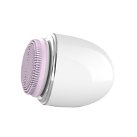 360 Degrés Nettoyage En Profondeur Électrique Brosse De Nettoyage Du Visage Kit Multi-Fonction Visage Brosse Massage Caractéristique Silicone Matériel Batterie