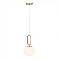Luminaire suspendu à piles, lustre LED rechargeable avec télécommande, 9 couleurs, lumière de plafond sans fil à intensité variable