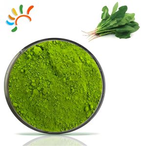 Grosir bubuk bayam sehat kualitas makanan bubuk hijau kering alami dengan bahan aktif klorofil dikemas dalam Drum - Product Image 1