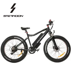 Cheap easy rider 48V 750W brushless rear motor 120kg loading fat ebike beach cruiser mountain electric bicycle