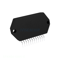 In Stock IC AMP CLASS AB MONO 120W 12SIP Electronic Component Manufacturer 12 SIP Formed Leads Chip STK404-120N-E