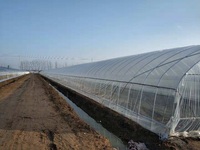 Serre tunnel agricole monopente pour tomates/fraises, fabrication chinoise