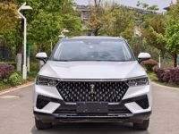 En stock BESTUNE T77 Modèle 2018 2019 2020 230 TID Automatique Édition Premium National VI