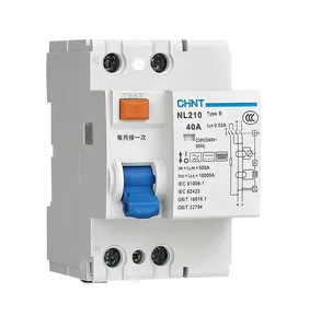 Chint Nl210 Type B Rccb 2P 4P 25a 40a 63a 30ma 100ma 300ma 1P + N 3P + N Nt Pv Solar Vfd Ev Opladen Type B Rcd