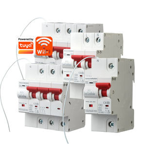 Interruptor de Circuito Eléctrico WiFi Tuya SW-ACW-1P, 1P-2P-3P-63A con Medidor de Energía y Protección Contra Fugas, Dispositivo Inteligente para el Hogar - Product Image 1
