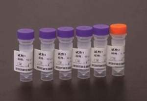 MSLTL01 Harga Terjangkau Mesin Sistem Thromboelastografi Hemostasis untuk Dijual Peralatan - Product Image 6