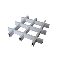 Mur rideau alliage Al grille acoustique déflecteur tuile 600x600 zinc bois plafond décor U déflecteur aluminium bande panneau de plafond