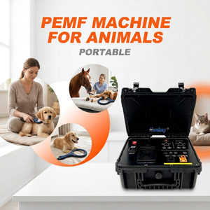 Appareil PEMF portable personnalisable pour animaux, réparation musculaire du corps entier, relaxation musculaire, thérapie PEMF pour clinique vétérinaire - Product Image 1
