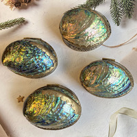 Boîte Cadeau Artisanale Écologique Exquise en Coquille d'Ormeau Naturelle, Coquillage Brut Poli de Forme Irrégulière, Style Rustique Moderne