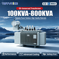 Transformateur de distribution immergé dans l'huile TSTYNICE 800 KVA 13200/7200V Dyn11 FR3 monophasé/triphasé 50/60Hz CE 440V