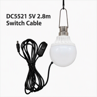 Ampoule LED DC5V pour usage extérieur avec câble de 2,8 m, prise DC5521, interrupteur marche/arrêt, crochet métallique pour un accrochage facile, IRC 80, 3000K/6500K