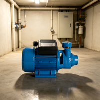 Pompe à jet électrique Yinjia IDB70 1HP monophasée/triphasée entièrement automatique en laiton haute pression 10 bars, débit 1 pouce, aspiration 8m, OEM